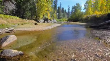 Nehir ve Sonbahar Ağaçlarının Havadan Görünümü