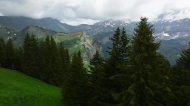 arka planda dağlar ile yeşil çayır