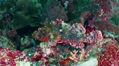 Renkli sıçramalarla soyut arkaplan