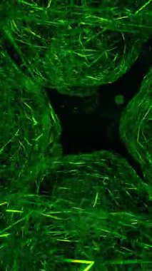 Soyut Renkli Kablo Yuva Tünel Canlandırması 