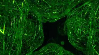 Soyut Renkli Kablo Yuva Tünel Canlandırması 