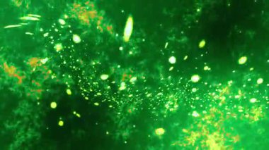  Parlayan Yıldızlar ve Kozmik Tozlu Soyut Uzay Bulutsusu