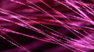  Kırmızı Dijital Matris Dikey Kod Yağmur Canlandırması