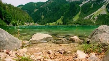 Rocky Platosu ve Rolling Green Hills.