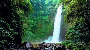  Ormanda Şelale Şelalesi Şelalesi