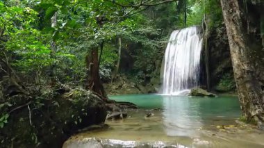 Yeşil Orman ile çevrili Güzel Şelale
