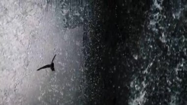 Şelale püskürtme perdesinde uçan kuş