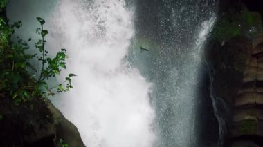 Şelale püskürtme perdesinde uçan kuş