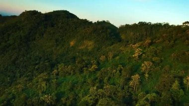 Yeşil çimenleri ve mavi gökyüzü olan güzel dağ ormanları
