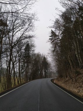 Asfalt yolu ormanla çevrili.