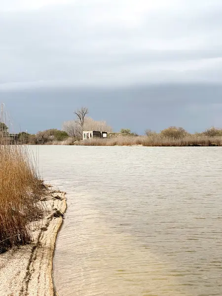 Terk edilmiş, göl kıyısındaki tek ev.