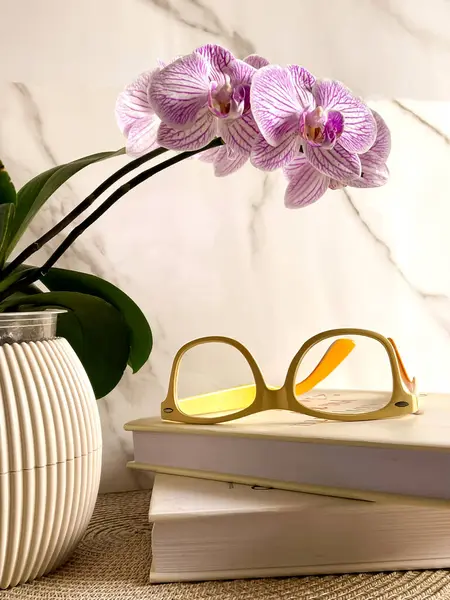 Kitaplı ve gözlüklü orkide çiçeği, rahat ve entelektüel bir kompozisyon