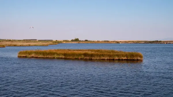 Bir gölün ortasındaki küçük ada, manastırın yakınındaki huzurlu manzaranın bir parçası..