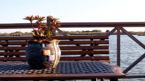  Açık hava masasında saksı bitkisi, Yunan yazının basit bir dokunuşu.