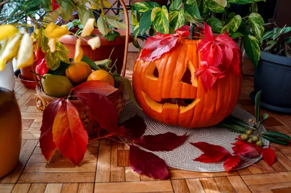 Sonbahar meyveli balkabağı doğal ışık altında, mevsim Ekim ayı için sakin hayat, hasat zamanı ve Cadılar Bayramı süslemesi