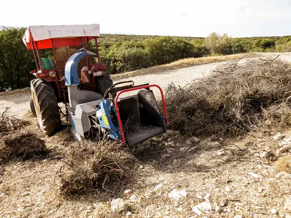 Odun öğütücüyle traktör, odun öğütücü makinesiyle donatılmış kırmızı tarım traktörü, ağaç parçalarını işleme dalları ve kütükleri. Çiftçilik, ormancılık, tarım ve kırsal çalışma kavramı.