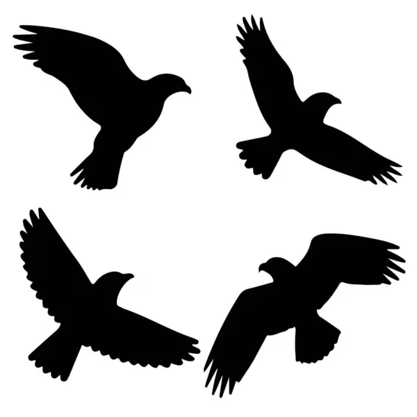 Uçan Kuş Siluetleri SVG Vektör Clipart Doğa ve Vahşi Yaşam Tasarımları için Ayarlandı