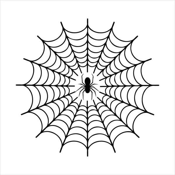 Örümcek ağı tasarımı