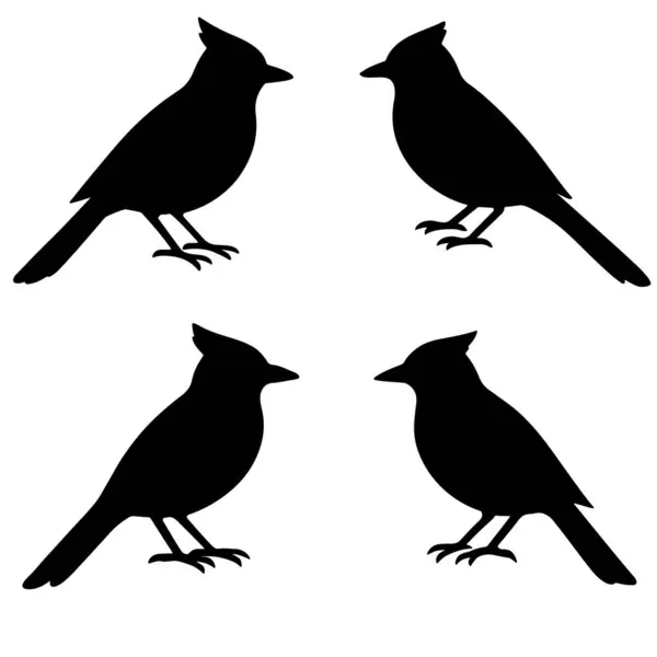 Mavi Jay Siluet Vektörü Ayarları 