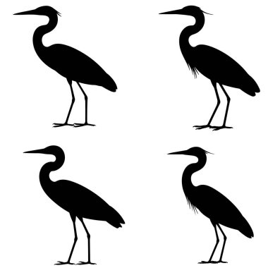 Heron Kuşu Siluet Vektörü Vahşi Yaşam Çizimi