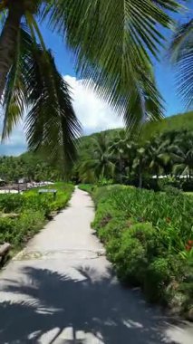 Sonsuzluk Havuzu, Hamakları, Okyanus ve Dağ İnsansız Hava Aracı ile Lüks Sahil Resort Tropikal Instagrammable Otel İnzivası