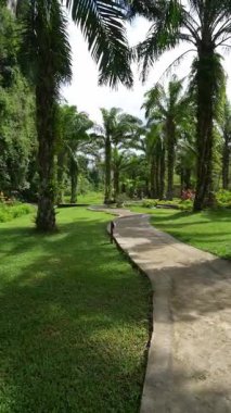 Tayland Phuket Orman Tecrübesi Tekne Turları, Bambu Sallar, Adalar ve Bereketli Ormanlar