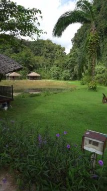 Tayland Phuket Orman Tecrübesi Tekne Turları, Bambu Sallar, Adalar ve Bereketli Ormanlar