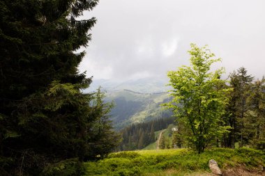 Alplerdeki güzel dağlar, Almanya