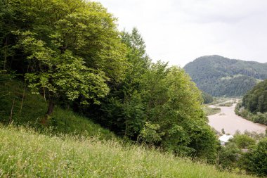 doğanın güzel nehir