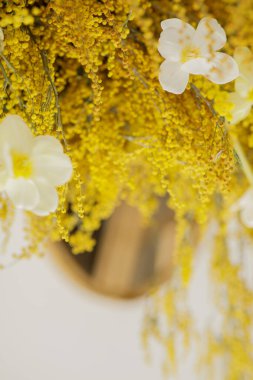 Beyaz arkaplanda sarı çiçek