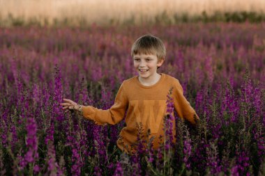 Küçük bir çocuk mor bir tarlada koşuyor.