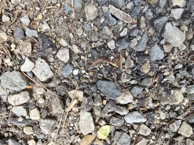 gri desen arkaplan alfa duvar taşları