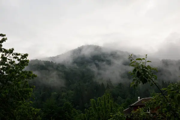 Sisli ve sık ormanlı güzel dağ manzarası