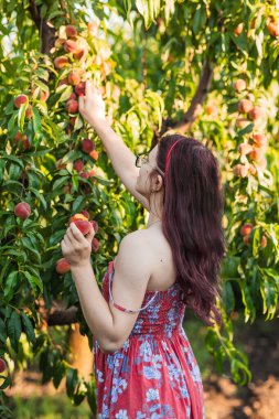 Yazın şeftali bahçesinde gözlüklü bir kız.