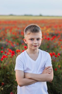 Haşhaş tarlasında genç bir çocuk