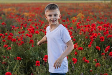 Haşhaş tarlasında genç bir çocuk