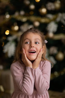 Küçük bir kızın portresi.