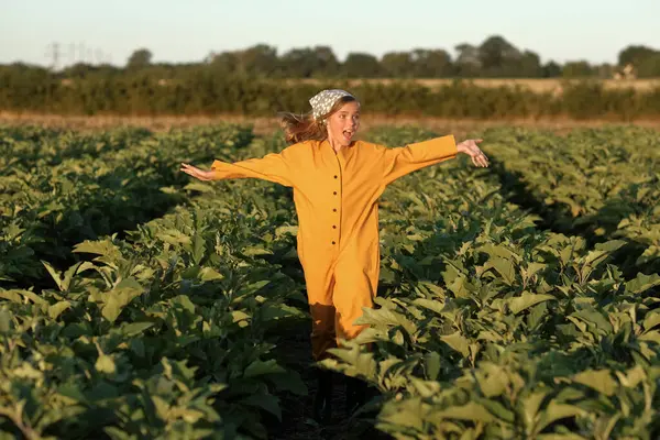 Tarlada mutlu küçük bir kız