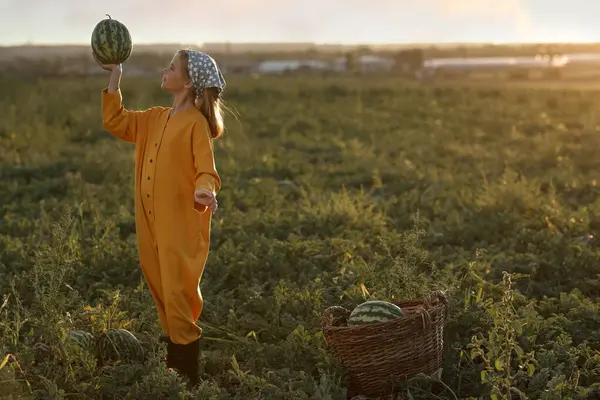 Tarlada karpuz tutan küçük bir kız