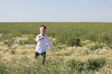 Yazın papatya tarlasında küçük bir çocuk