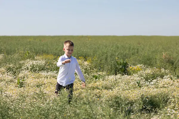 Yazın papatya tarlasında küçük bir çocuk