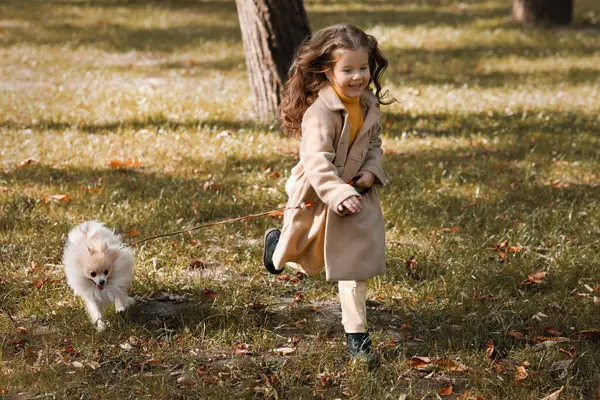 Sonbahar parkında köpekle yürüyen tatlı bir kız.