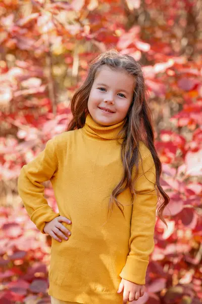 Sonbahar yaprakları olan küçük tatlı kız.