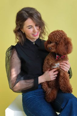 Genç bir kadın açık mavi arka planda küçük sevimli köpeğini elinde tutuyor.