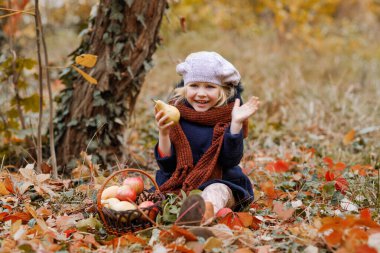 Sonbahar yapraklarının arka planında bir sepet elma taşıyan mutlu çocuk..