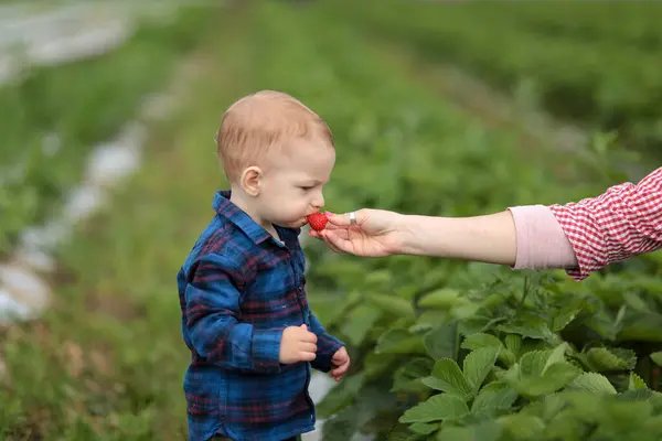 Küçük çocuk ve annesi serada.