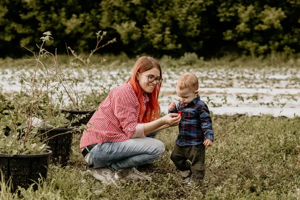 İki yaşındaki mutlu bir aile, oğlu ve annesi bir yaz günü bahçede oynuyorlar.