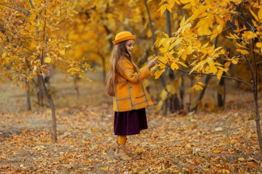 Sonbahar parkında sarı montlu ve sarı şapkalı güzel küçük kız.