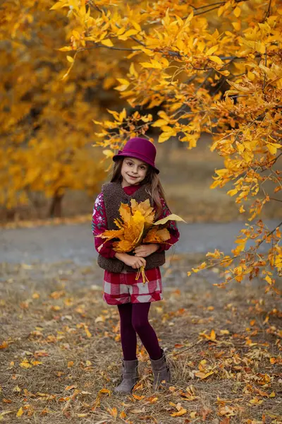 Güz parkında kırmızı montlu ve kırmızı şapkalı güzel bir kız.