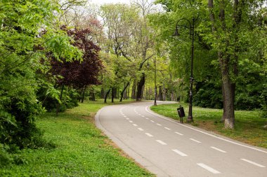 Parktaki yol